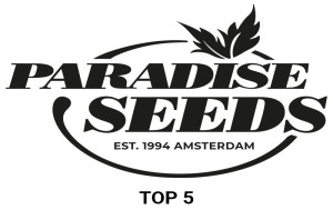 5 лучших сортов Paradise Seeds