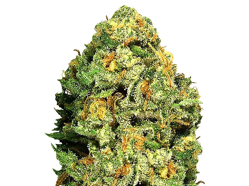 Fruit Punch fem от Heawyweight Seeds